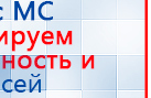 Пояс электрод купить в Мичуринске, Электроды Меркурий купить в Мичуринске, Медицинский интернет магазин - denaskardio.ru